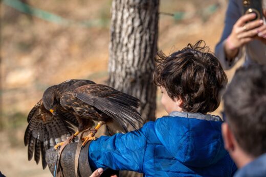 Découverte et Aventures avec Les Aigles du Verdon à Gréoux Les Bains