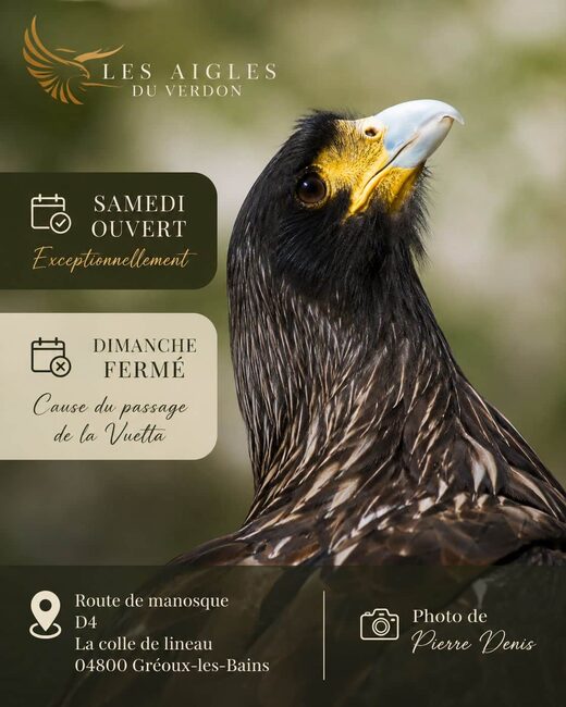 Découverte et Aventures avec Les Aigles du Verdon à Gréoux Les Bains