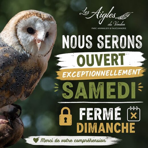 Découverte et Aventures avec Les Aigles du Verdon à Gréoux Les Bains