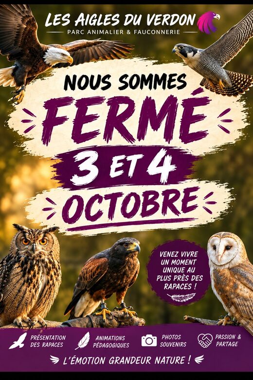 Découverte et Aventures avec Les Aigles du Verdon à Gréoux Les Bains