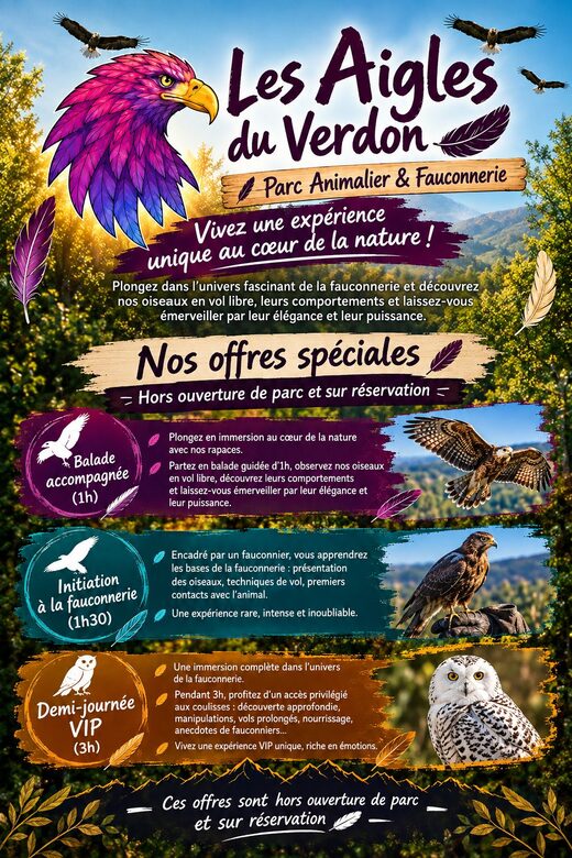 Découverte et Aventures avec Les Aigles du Verdon à Gréoux Les Bains
