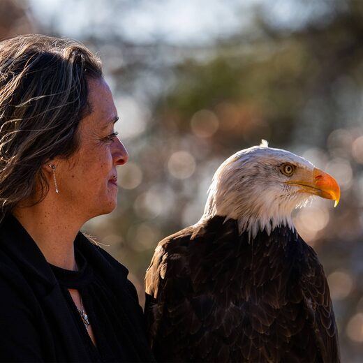 Découverte et Aventures avec Les Aigles du Verdon à Gréoux Les Bains