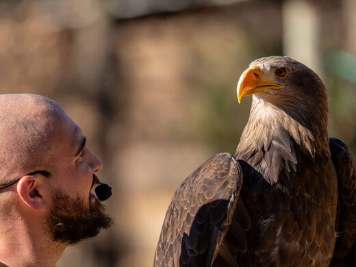 Découverte et Aventures avec Les Aigles du Verdon à Gréoux Les Bains
